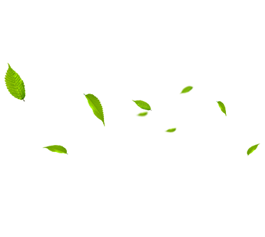 MHL Power Dongfang Boiler Co, Ltd. (MHDB)