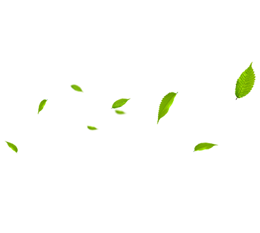 MHL Power Dongfang Boiler Co, Ltd. (MHDB)